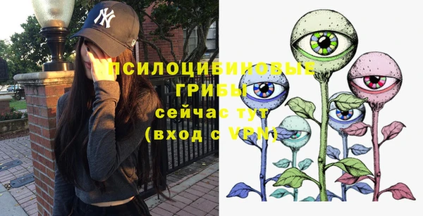 СК Магас