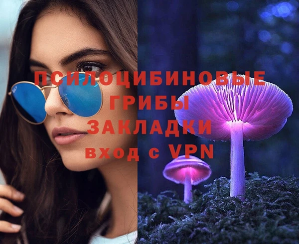 СК Магас